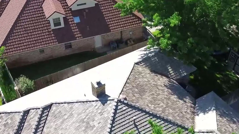 Animal Crossing
